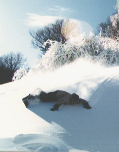 Tony laying it down in the powder at Killington