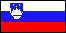 Slovenian flag